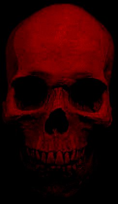 Skull.jpg (9816 bytes)